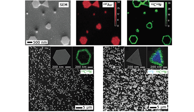 Growth of noble metal nanostructures analyzed with NanoSIMS