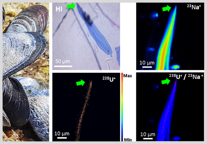 Unveiling the hidden threat-icon blog