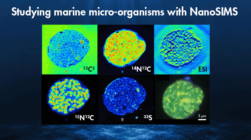 Success story caltech