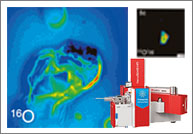 Cryogenic application and fluid inclusions