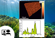 Unlocking the Sulfur Secrets of Deep Time: How CAMECA SIMS Rewrites the Mesoproterozoic Ocean Story?