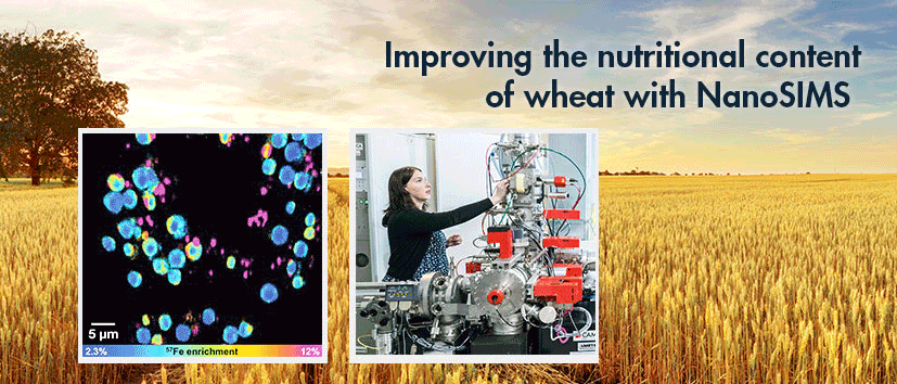 success story manchester with nanosims